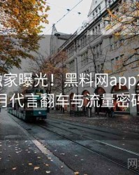 0136. 独家曝光！黑料网app2023年1月代言翻车与流量密码