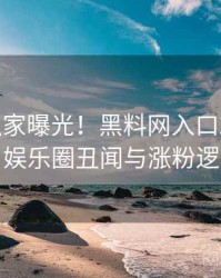 0077. 独家曝光！黑料网入口2023年3月娱乐圈丑闻与涨粉逻辑