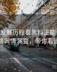 0249. 从发展历程看黑料正能量往期网络舆情演变，带你看透