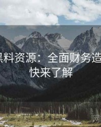1274. 黑料资源：全面财务造假盘点，快来了解