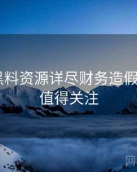 0897. 黑料资源详尽财务造假全纪录，值得关注
