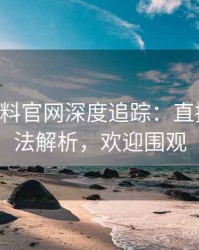 0994. 黑料官网深度追踪：直播事故方法解析，欢迎围观