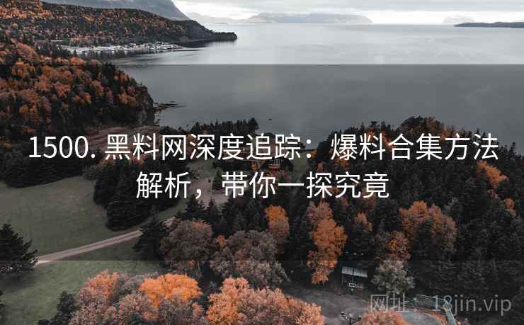 1500. 黑料网深度追踪：爆料合集方法解析，带你一探究竟