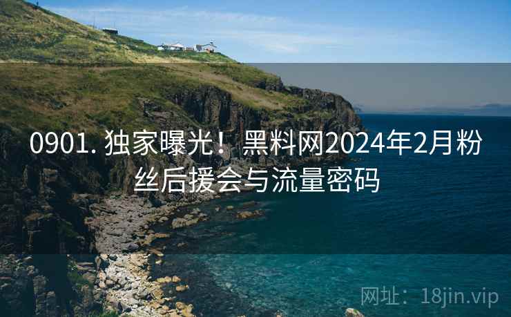 0901. 独家曝光！黑料网2024年2月粉丝后援会与流量密码