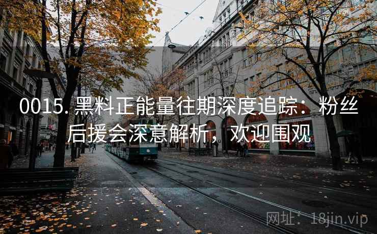 0015. 黑料正能量往期深度追踪：粉丝后援会深意解析，欢迎围观