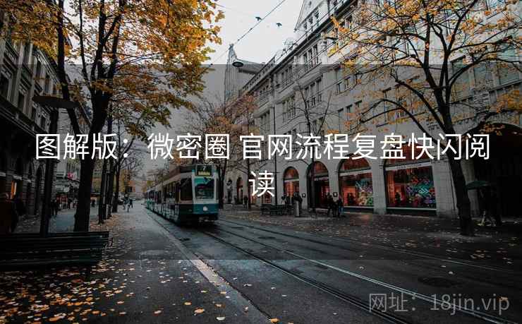 图解版：微密圈 官网流程复盘快闪阅读